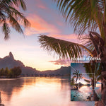 Paradise in Your Palm
